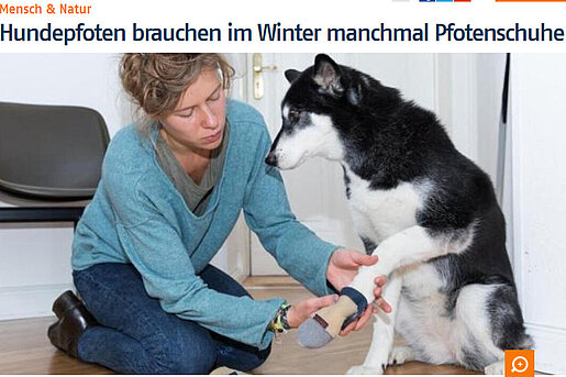 N24, 13. Januar 2016