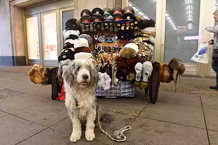 Am Berliner Alexanderplatz wurde Pelz aus Hundefell verkauft. Am Berliner Alexanderplatz wurde Pelz aus Hundefell verkauft.