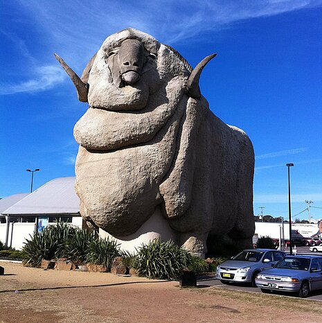 Die Betonskulptur `Big Merino` im australischen Goulburn.