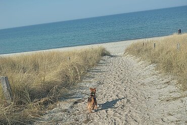 „auf zum Strand“ „auf zum Strand“