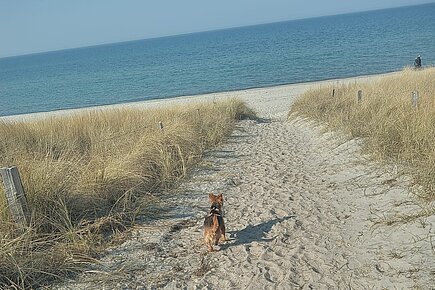 „auf zum Strand“