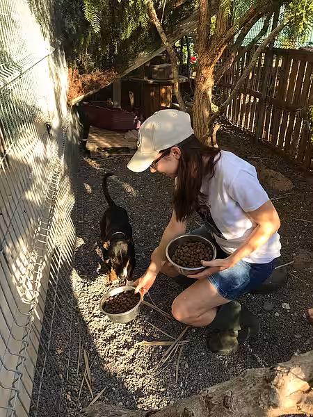 Auch das Reinigen der Futternäpfe gehört zur täglichen Arbeit.