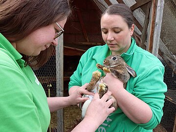 aktion tier bearbeitet jährlich bis zu 10 Animal Hoarding-Fälle. aktion tier bearbeitet jährlich bis zu 10 Animal Hoarding-Fälle.