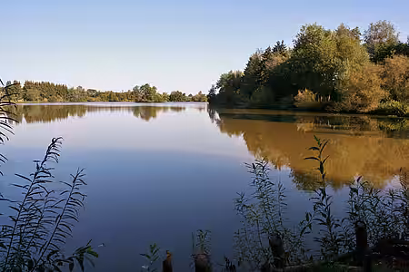 See als Laichgewässer