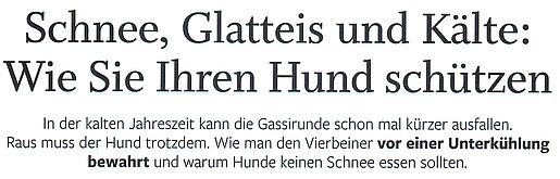 18.1.2025 | Schleswig-Holstein am Wochenende | Schnee, Glatteis und Kälte: Wie Sie Ihren Hund schützen
