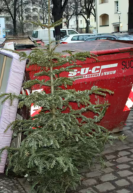 In meiner Familie wird Baumschmuck vererbt, hier wurde er gleich mit entsorgt.