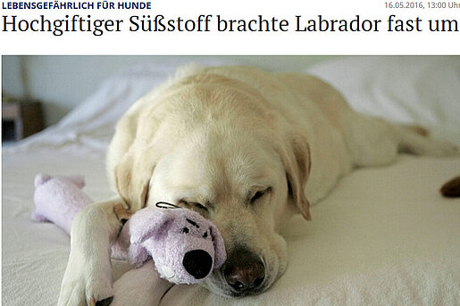 NOZ: Hochgiftiger Süßstoff brachte Labrador fast um