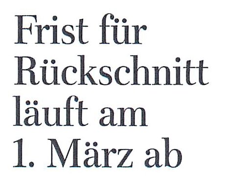 26.02.2025 | Freie Presse Chemnitz | Frist für Rückschnitt läuft am 1. März ab