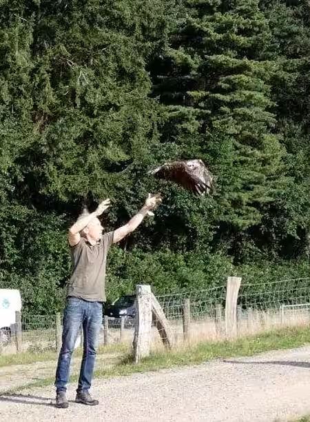 Auswilderung an der Thülsfelder Talsperre Auswilderung an der Thülsfelder Talsperre