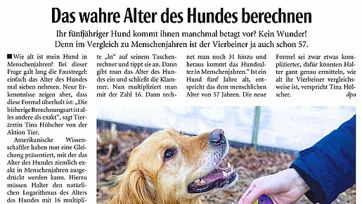 Das wahre Alter des Hundes berechnen – Lippische Landes-Zeitung