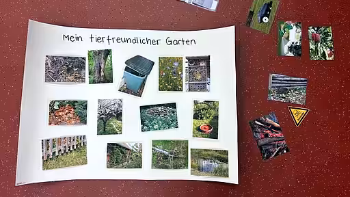 Was gehört in einen tierfreundlichen Garten und was sollte eher vermieden werden? Was gehört in einen tierfreundlichen Garten und was sollte eher vermieden werden?