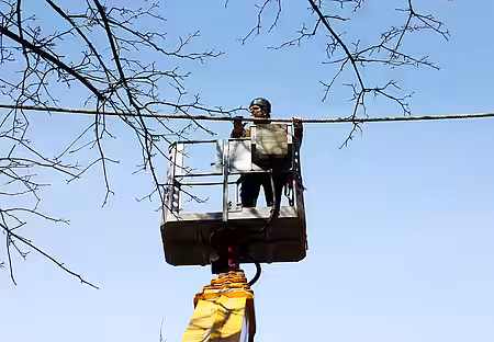 Prüfung des aktion tier Eichhörnchenseils