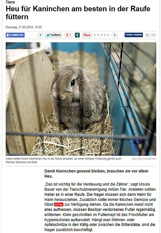 Focus Online - Heu für Kaninchen am besten in der Raufe füttern