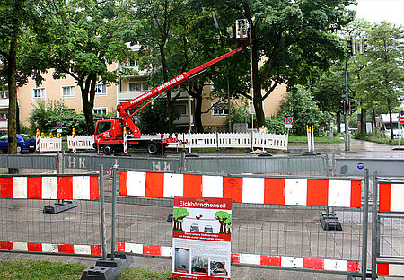 Eichhörnchenseil - Hebebühne und Absperrungen 