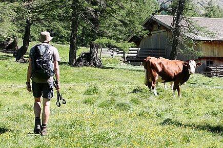 Wanderstöcke nicht schlenkern, sondern besser in die Hand nehmen. 
