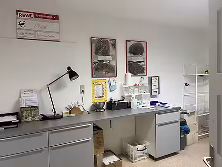 Raum zur Erstaufnahme von Igeln.