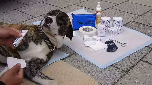 Erste Hilfe kann Leben retten.