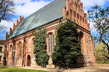 Efeu an einer Kirchenfassade.
