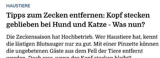 21.05.2025 | Mitteldeutsche Zeitung | Tipps zum Zecken entfernen: Kopf stecken geblieben bei Hund und Katze - Was nun?