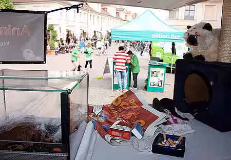 Blick auf den aktion tier Informationsstand