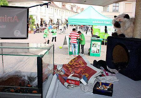 Blick auf den aktion tier Informationsstand 