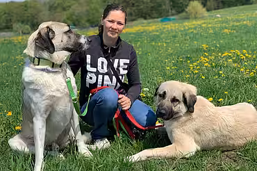 Patrice Krüger, Mitarbeiterin bei aktion tier mit ihren zwei Kangal Hunden.