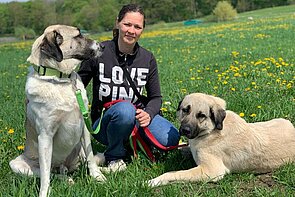 Patrice Krüger, Mitarbeiterin bei aktion tier mit ihren zwei Kangal Hunden.