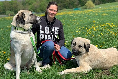 Patrice Krüger, Mitarbeiterin bei aktion tier mit ihren zwei Kangal Hunden. Patrice Krüger, Mitarbeiterin bei aktion tier mit ihren zwei Kangal Hunden.