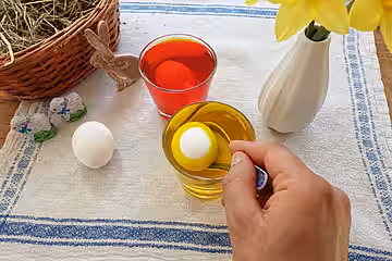 Die Alternative: Bio-Eier hart kochen oder ausblasen und selber färben oder bemalen. Die Alternative: Bio-Eier hart kochen oder ausblasen und selber färben oder bemalen.