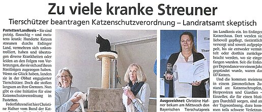 19. Oktober 2024 | Dorfener Anzeiger | Zu viele kranke Streuner