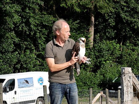Stationsleiter Klaus Meyer mit Fischadler am Auswilderungsort