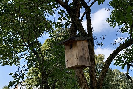 Nistkasten in der freien Natur. 