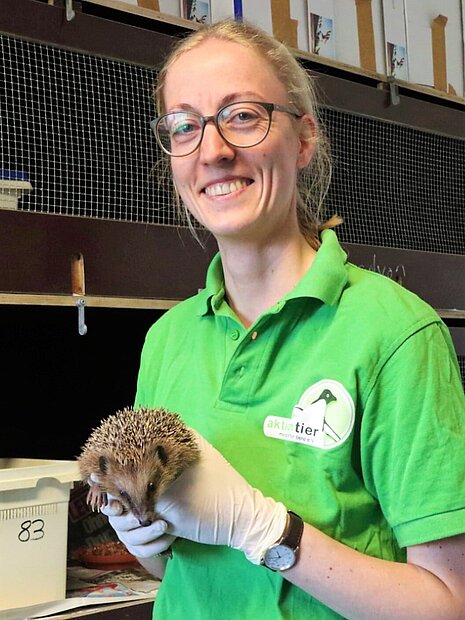 Unsere Igeltierärztin Karolin Schütte kümmert sich um verletzte und kranke Tiere Unsere Igeltierärztin Karolin Schütte kümmert sich um verletzte und kranke Tiere