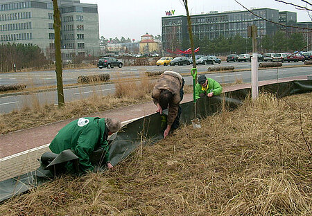 Errichtung eines Amphibienschutzzaunes