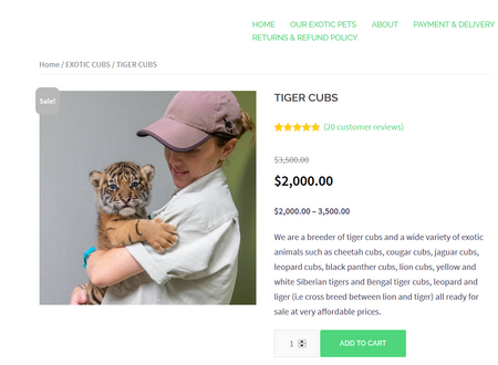 Tiger im Internet zum Verkauf 