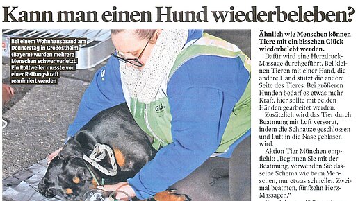 16.03.2025 | Bild am Sonntag | Kann man einen Hund wiederbeleben?