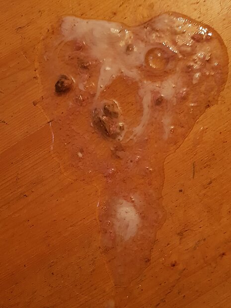 Form, Farbe und Beschaffenheit geben nur sehr bedingt Aufschluss über die Ursache des Erbrechens.