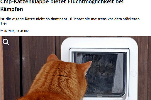 Rhein-Neckar-Zeitung, 01.03.2016