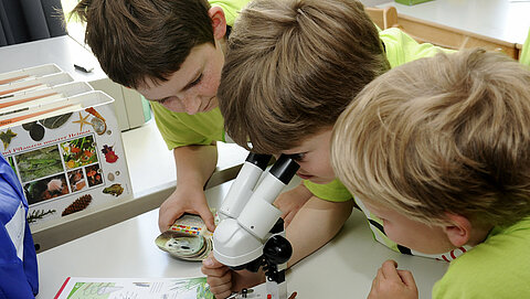 Schüler am Mikroskop 