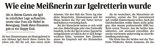 15. September 2023 | Sächsische Zeitung | "Wie eine Meißnerin zur Igelretterin wurde"