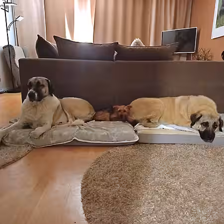 „zu Besuch bei Monty“