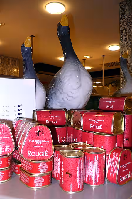 Für die Produktion von „foie gras“ werden die Gänse (und Enten) zwangsernährt.