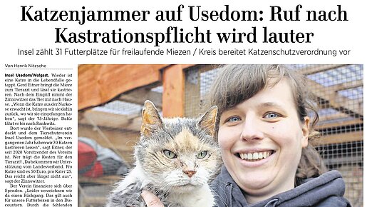 Katzenjammer auf Usedom – Ostssezeitung | Usedom