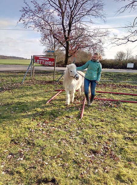 Pferd und Mensch auf dem Parcours