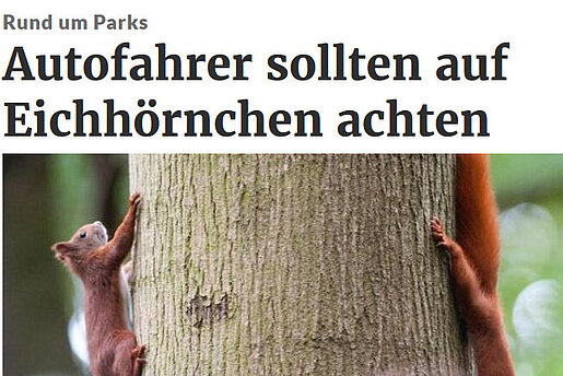 Lausitzer Rundschau, 26. Oktober 2017