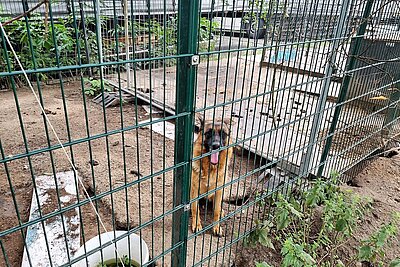 aktion tier – Menschen für Tiere e.V.: „Balkonfensterhörnchen“ Margret