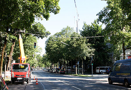 Routinekontrolle Eichhörnchenseil München am 1.8.16