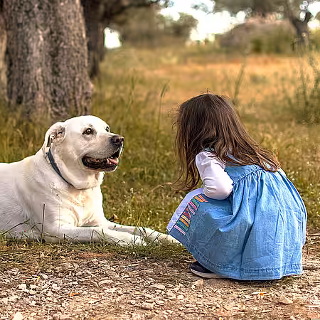 Hunde sind zwar meist kinderfreundlich, aber auch die teuersten Haustiere. Hunde sind zwar meist kinderfreundlich, aber auch die teuersten Haustiere.