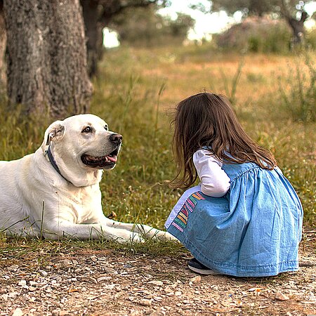 Hunde sind zwar meist kinderfreundlich, aber auch die teuersten Haustiere. Hunde sind zwar meist kinderfreundlich, aber auch die teuersten Haustiere.