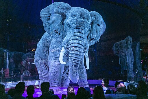 Für die Holografie wird eine dünne Gaze rund um die Manege gespannt, und per Beamer werden 3D-Tiermodelle projiziert. 